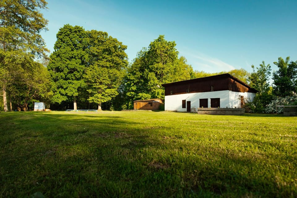Day, Natural landscape, Garden, Garden view
