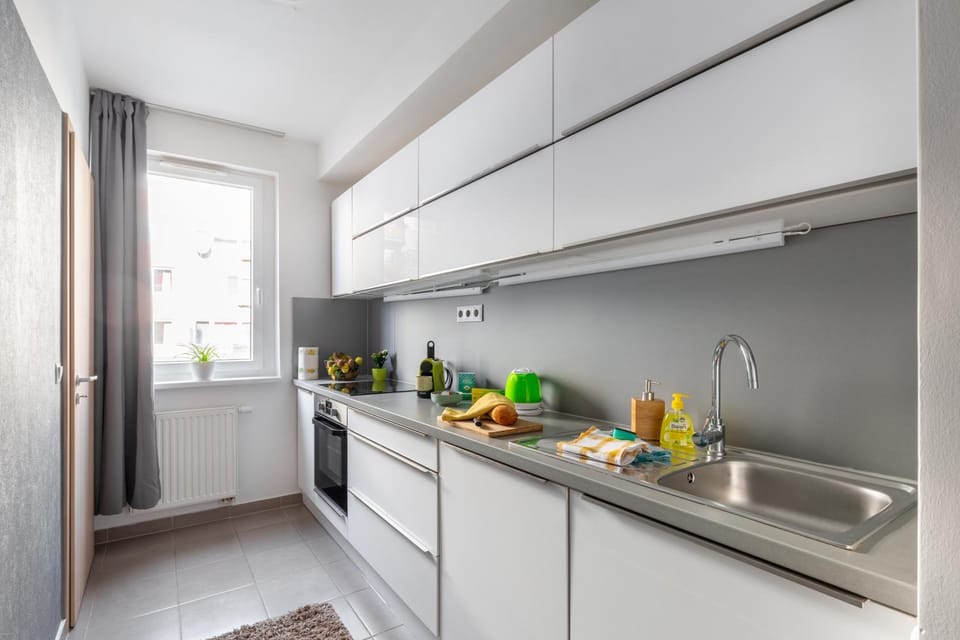 Kitchen or kitchenette, dishwasher, stove