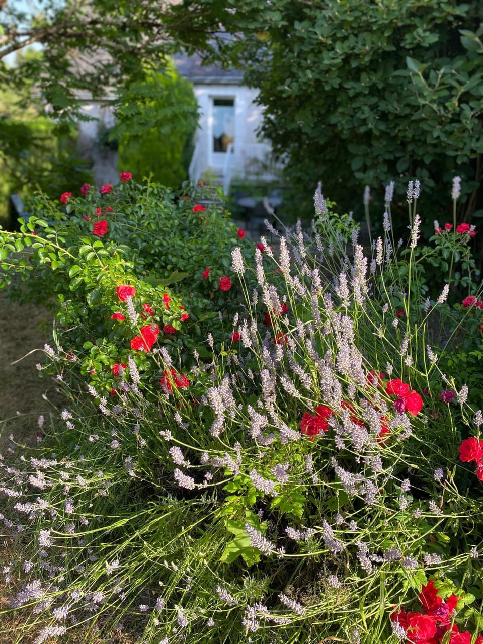 Garden view