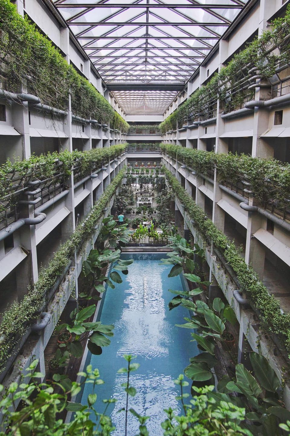 Property building, Garden, Swimming pool