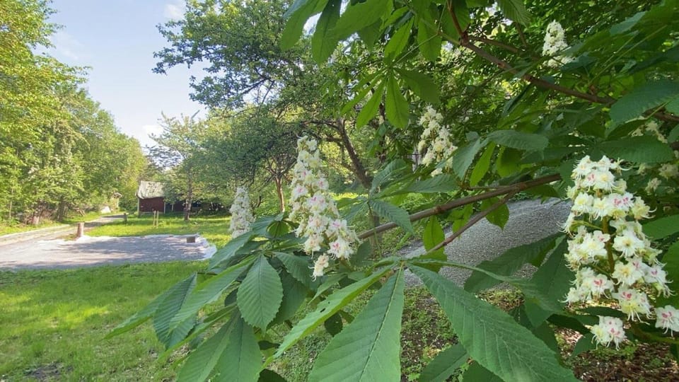 Garden View vacation home in Granna Villa in Västra Götaland County