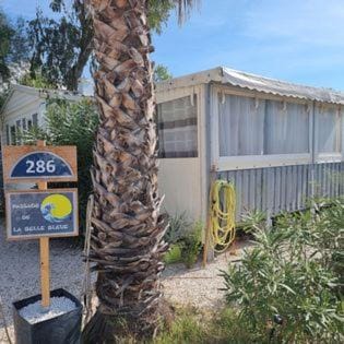 La belle bleue Campground/ 
RV Resort in Hyères