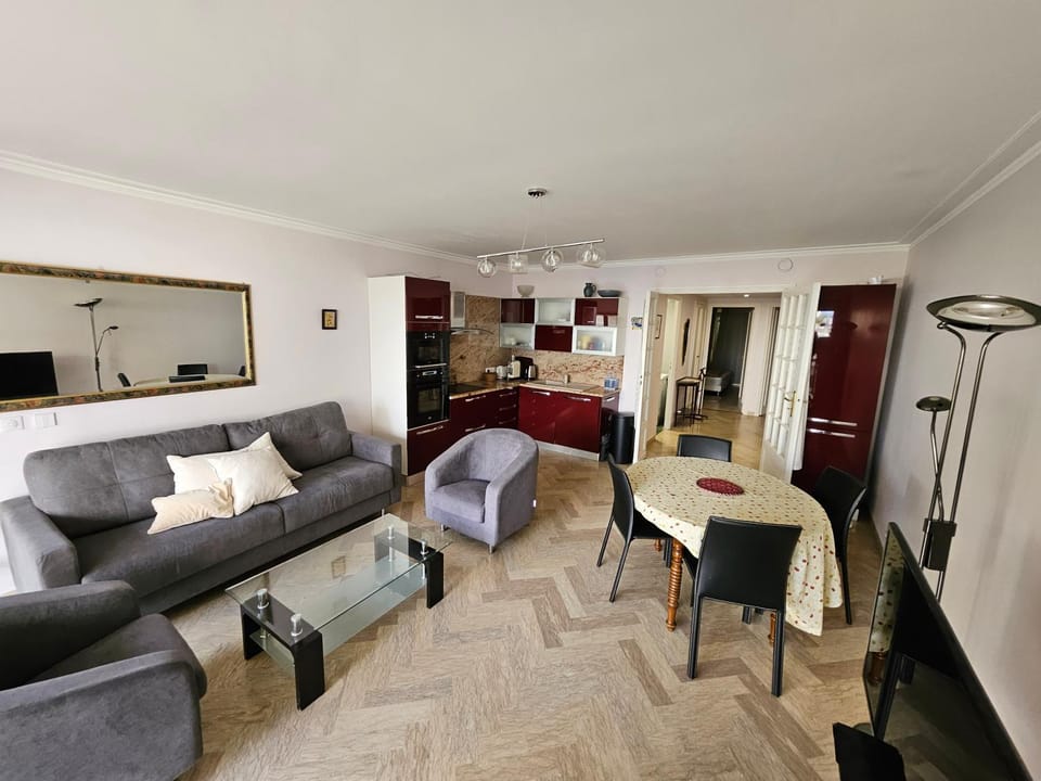 Juan les pins centre Le France grand 3P vue mer Apartment in Antibes
