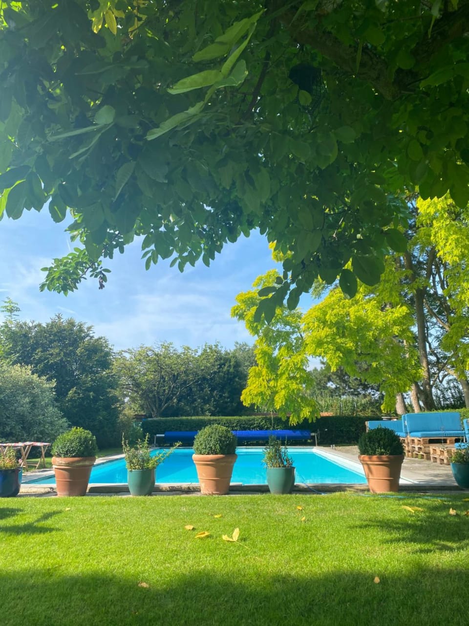 Swimming pool, Swimming pool