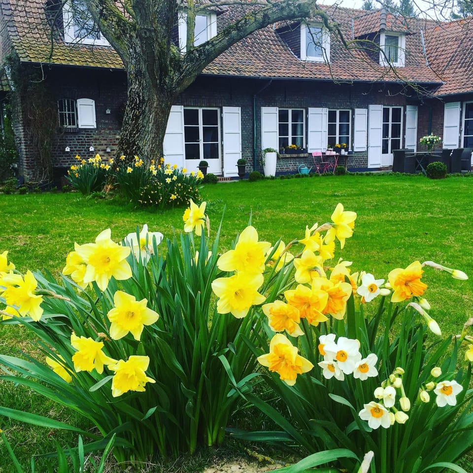 Spring, Natural landscape, Garden, On site