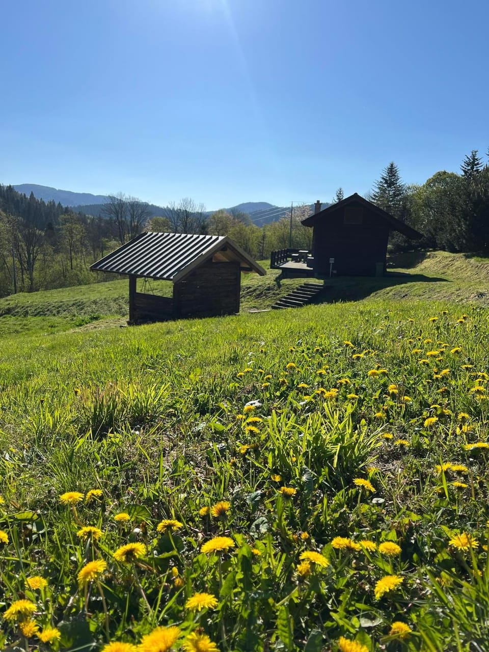 Mountain view