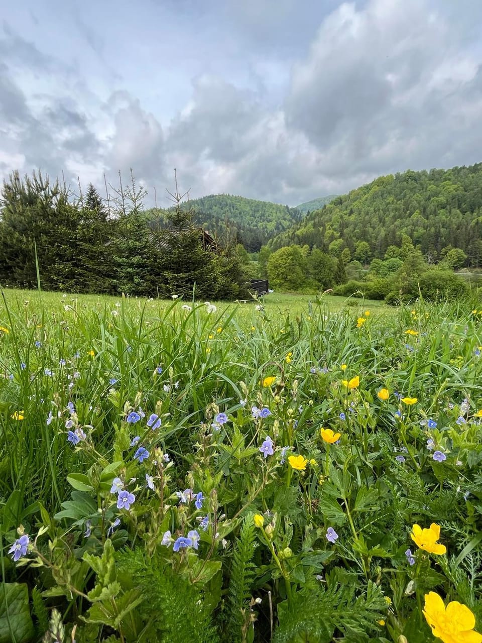 Spring, Natural landscape, Mountain view