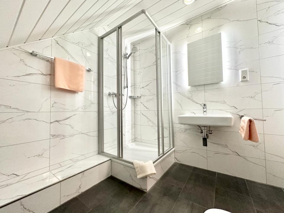 Shower, Toilet, Bathroom, towels