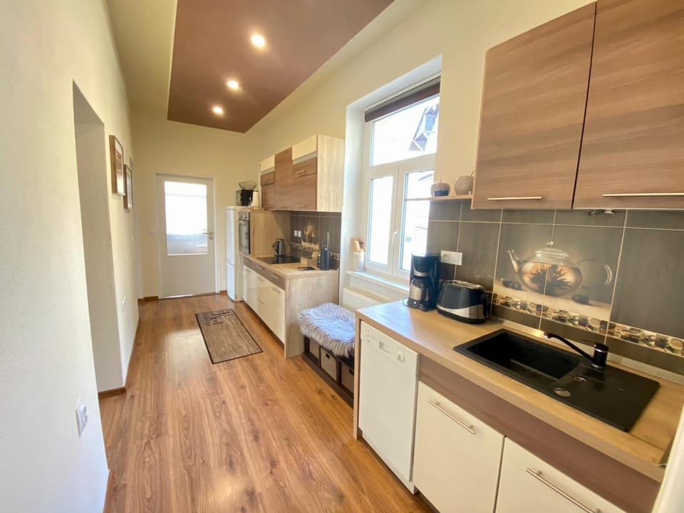 Kitchen or kitchenette, dishwasher, minibar, pet friendly, stove