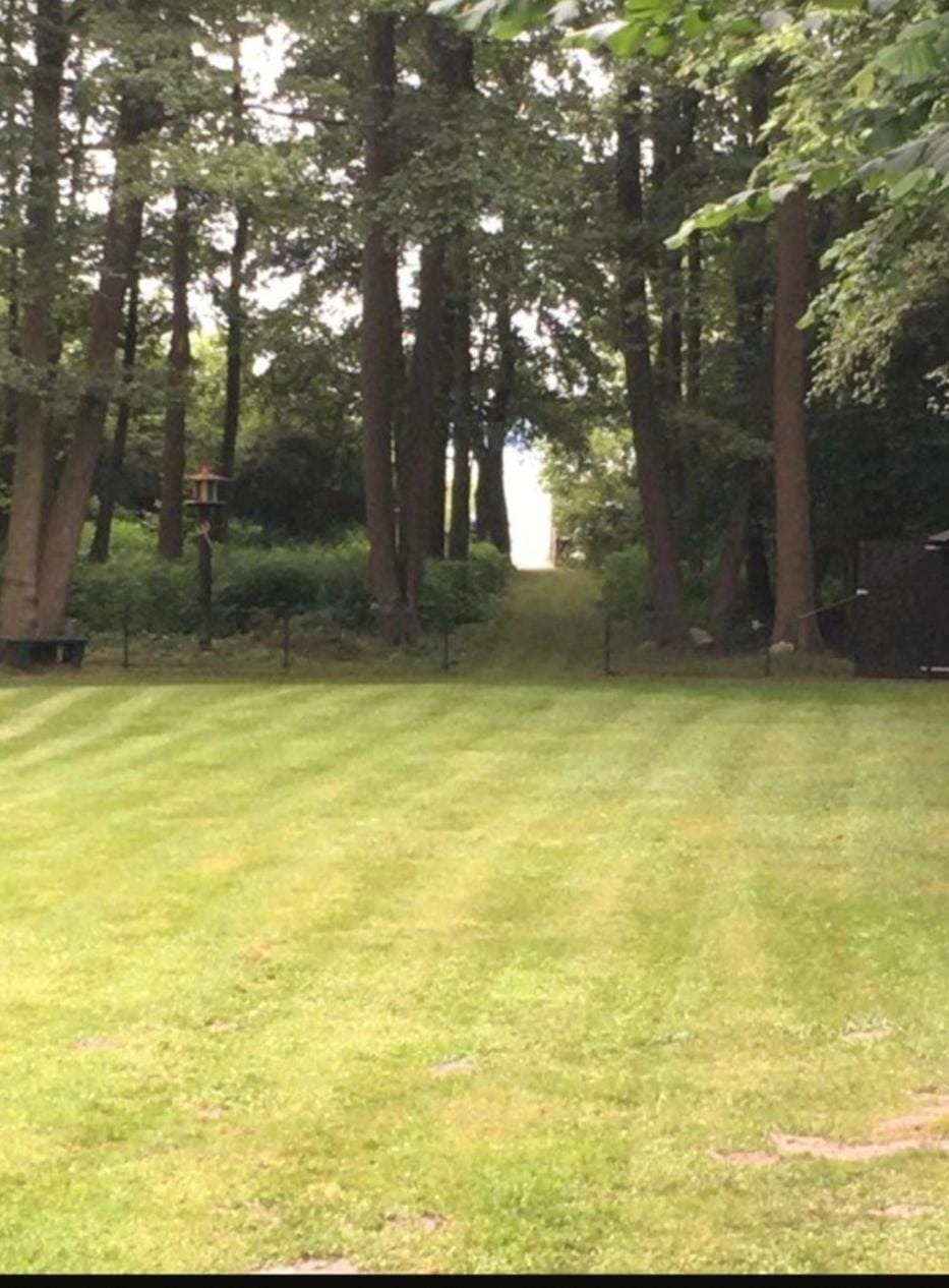 Garden, Garden view, Lake view