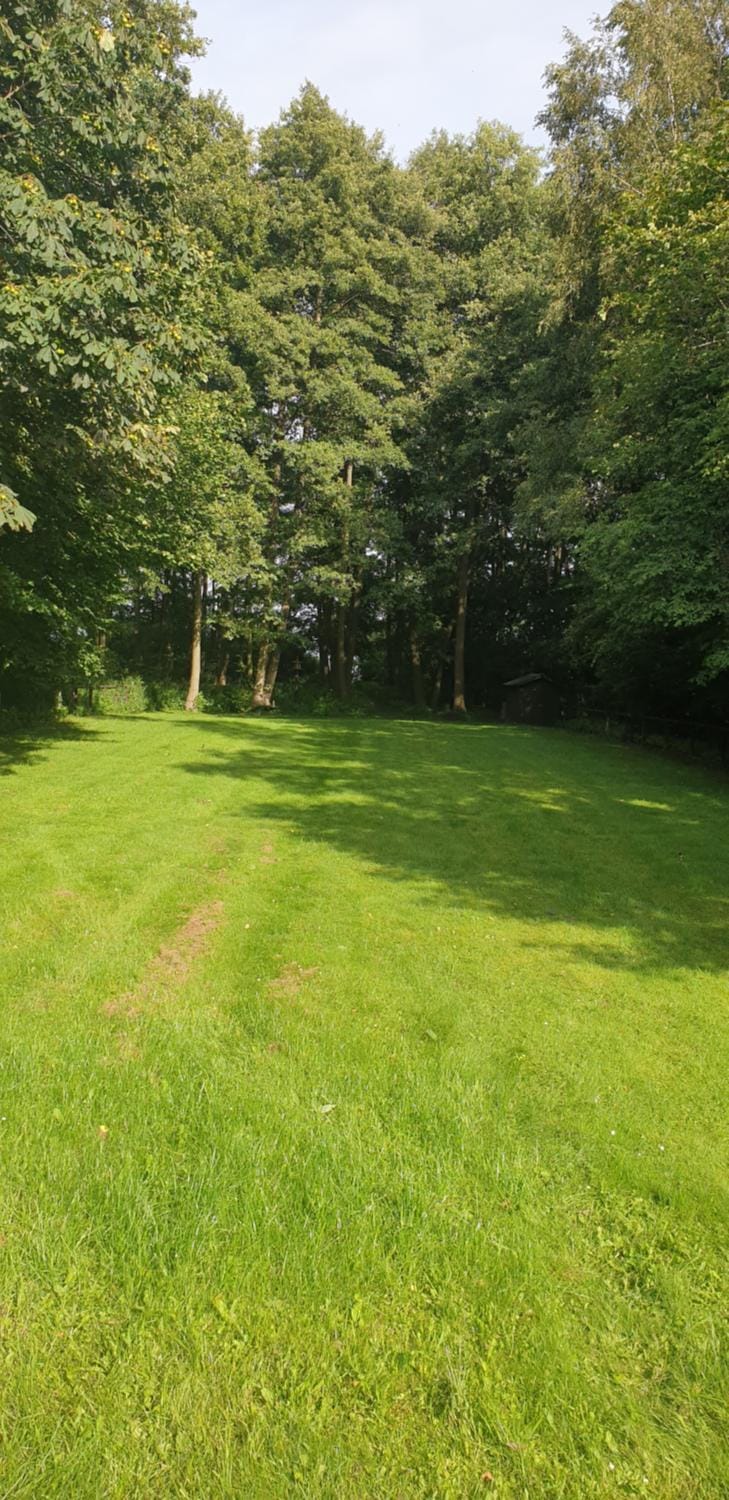 Day, Garden, Garden, Garden view