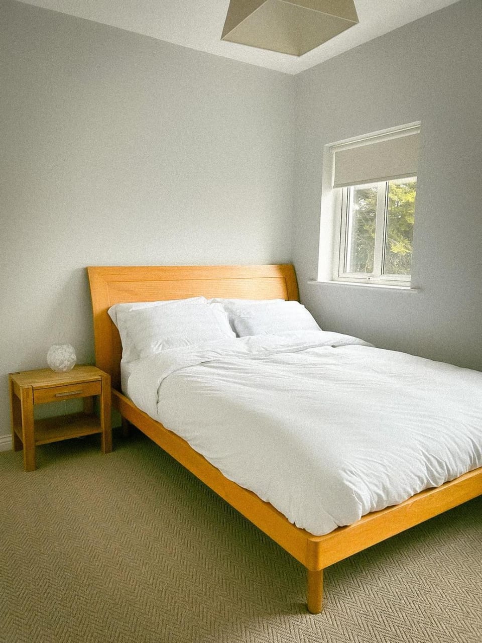 NEM House Apartment in Galway