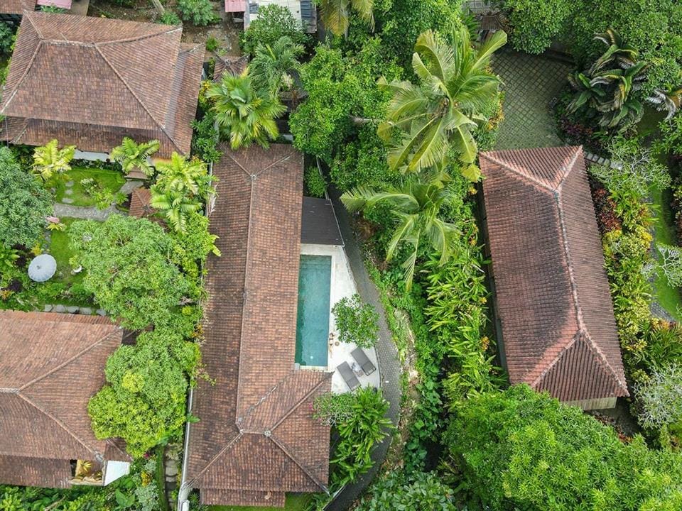 Property building, Natural landscape, Bird's eye view, Garden, Garden view, Pool view
