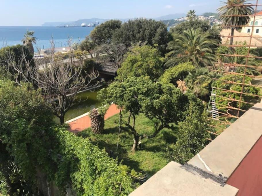 Garden view