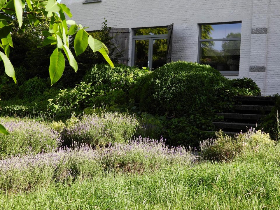 Property building, Day, Garden, Garden, Garden view