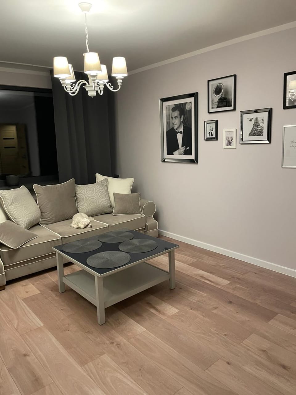 APARTAMENT PRZY BLONIACH 2 Apartment in Szczecin