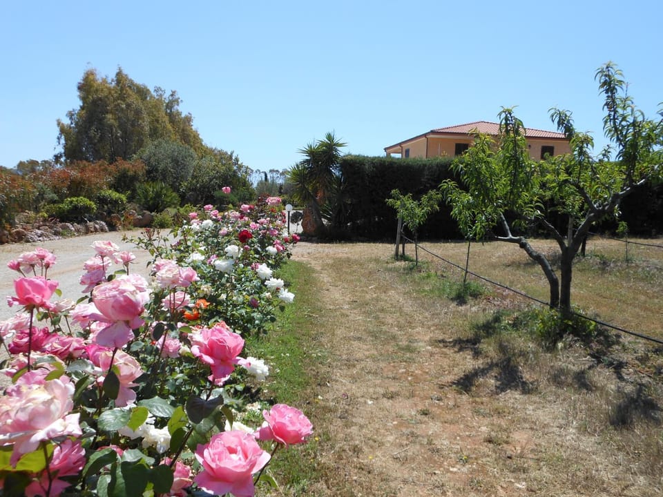 Garden, Garden view