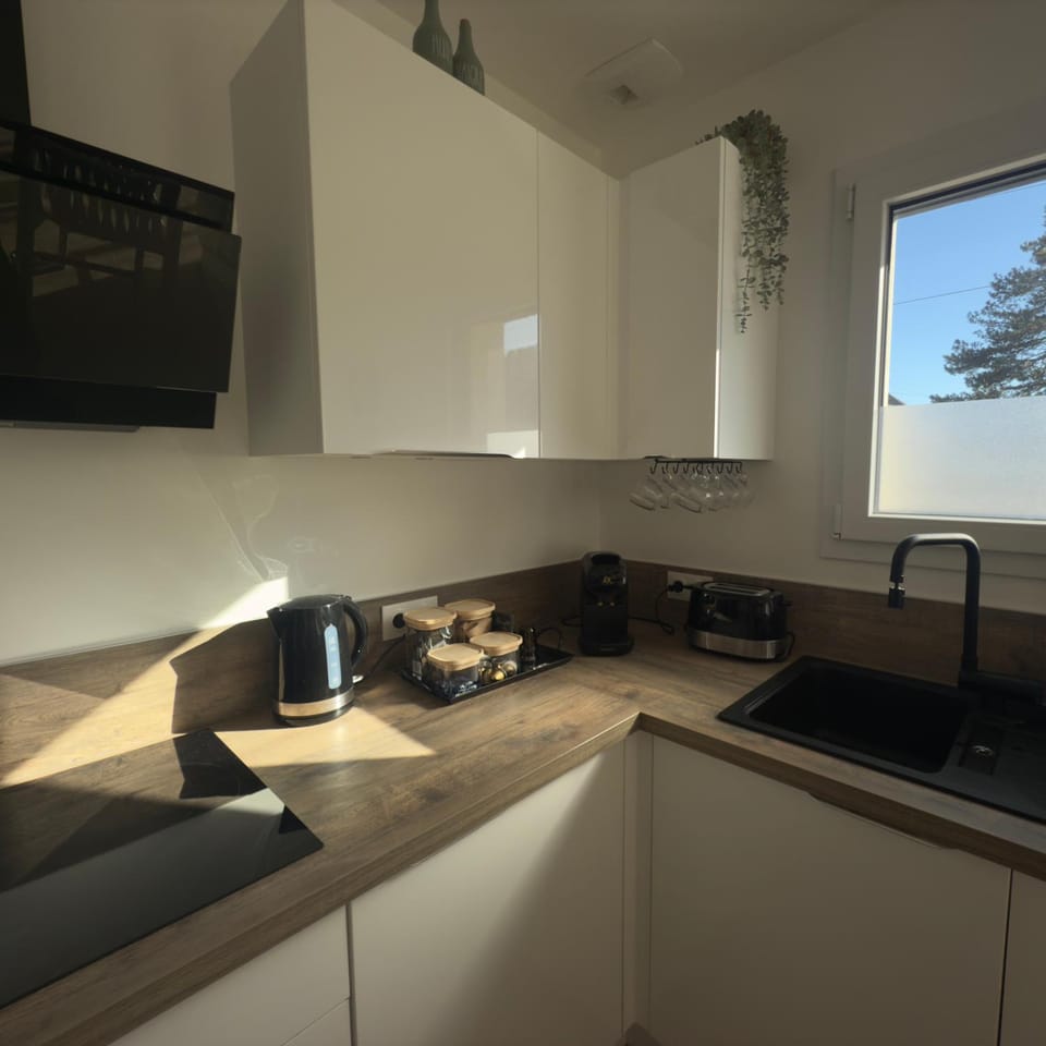 Kitchen or kitchenette, Kitchen or kitchenette, stove