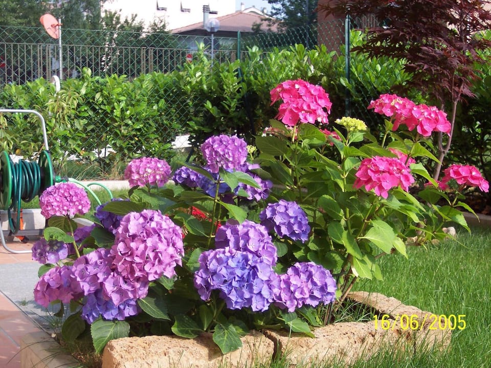 B&B Il Parco Bed and Breakfast in Parma