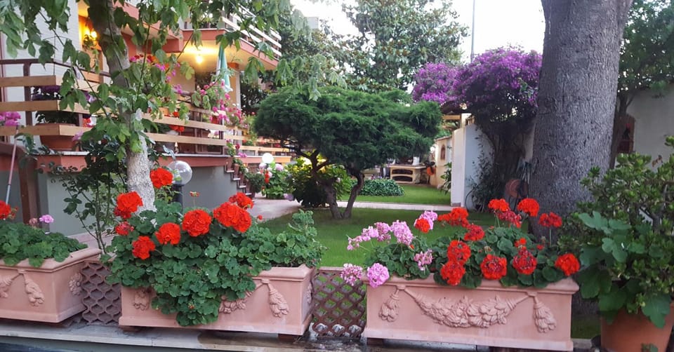 Garden view