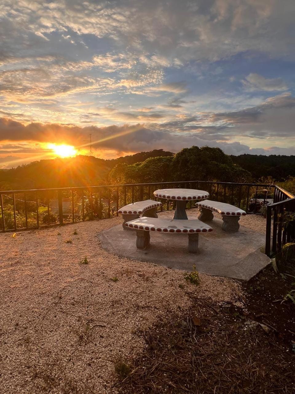 Garden, Sunset