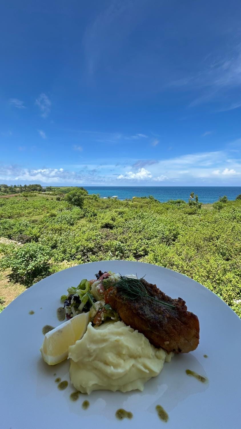 Day, Natural landscape, Food and drinks, Food, Sea view