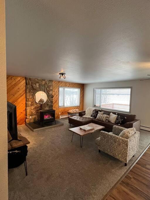 TV and multimedia, Living room, Photo of the whole room, Lake view, Mountain view
