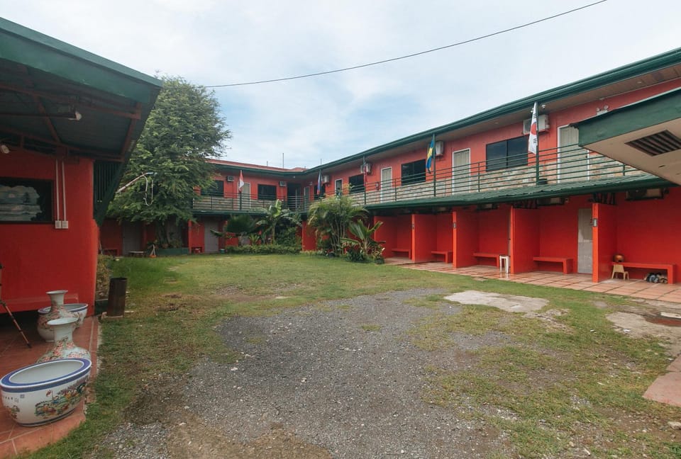 Property building, Day, Garden