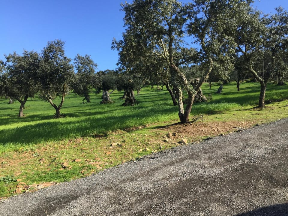 Natural landscape