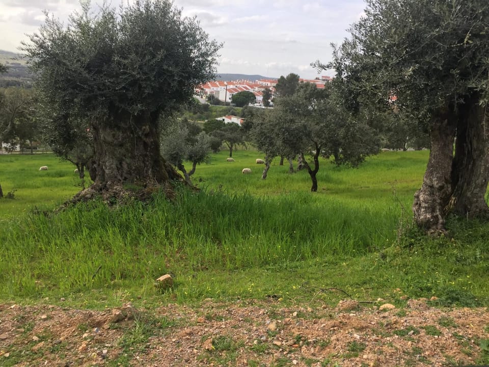 Natural landscape