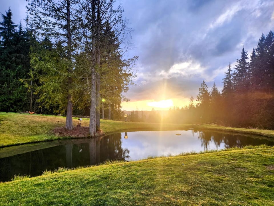 Natural landscape, Lake view, River view, Sunset