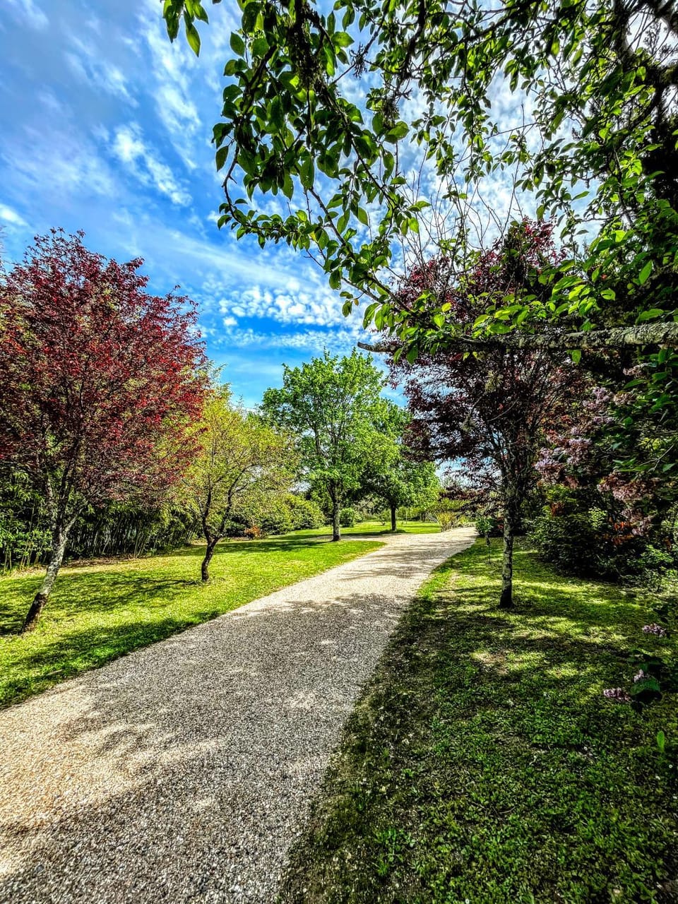 Garden, Garden view, Parking