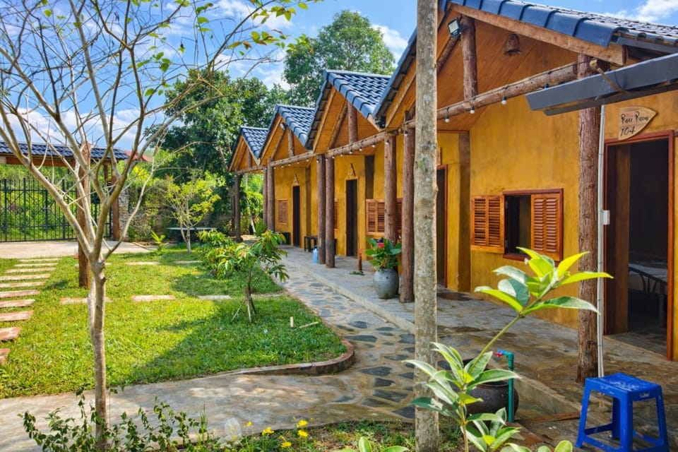 Property building, Garden, Garden view