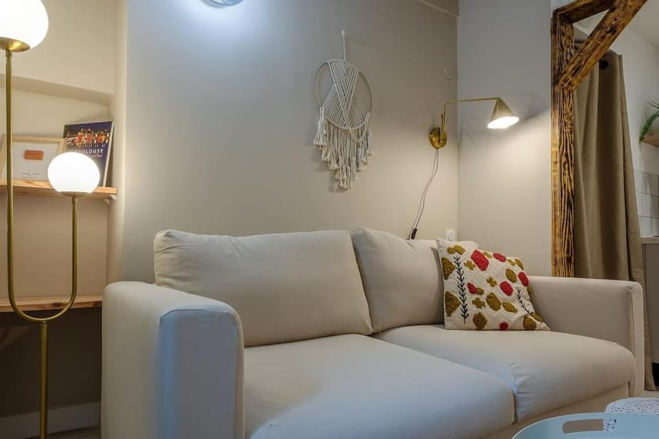 L'élégance du Capitole Apartment in Toulouse