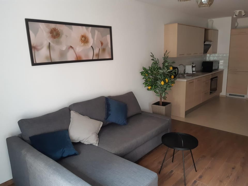 Kitchen or kitchenette, Living room, Seating area