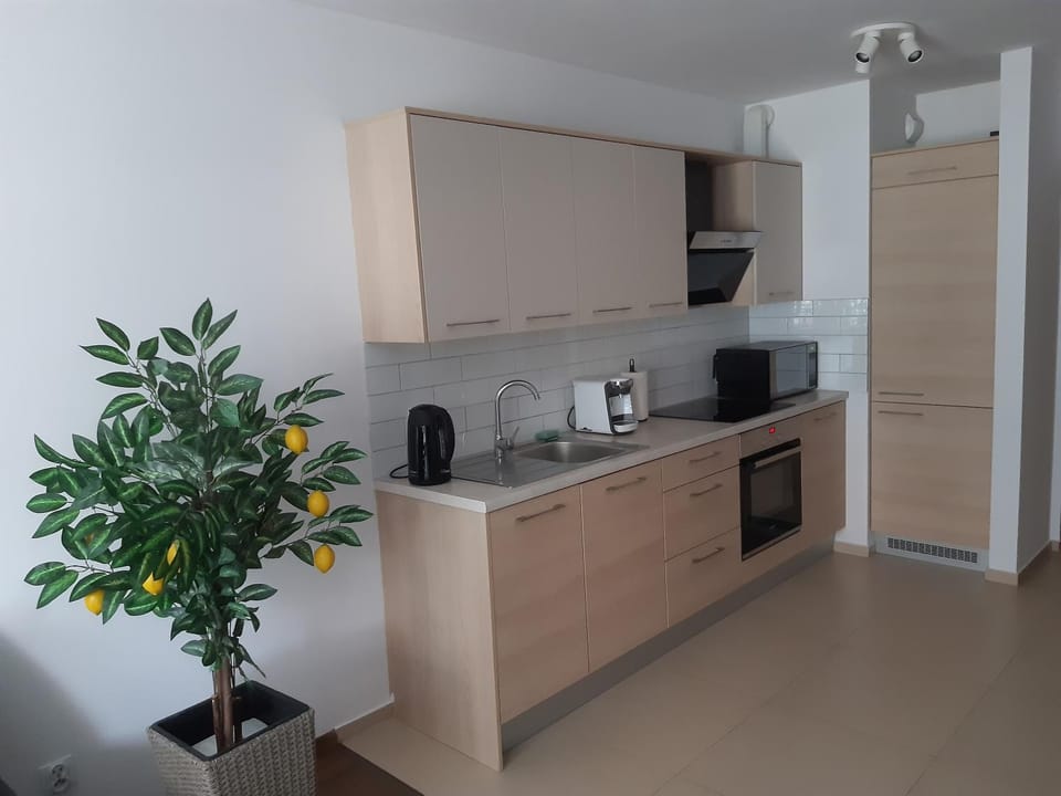 Coffee/tea facilities, Kitchen or kitchenette, minibar, pet friendly