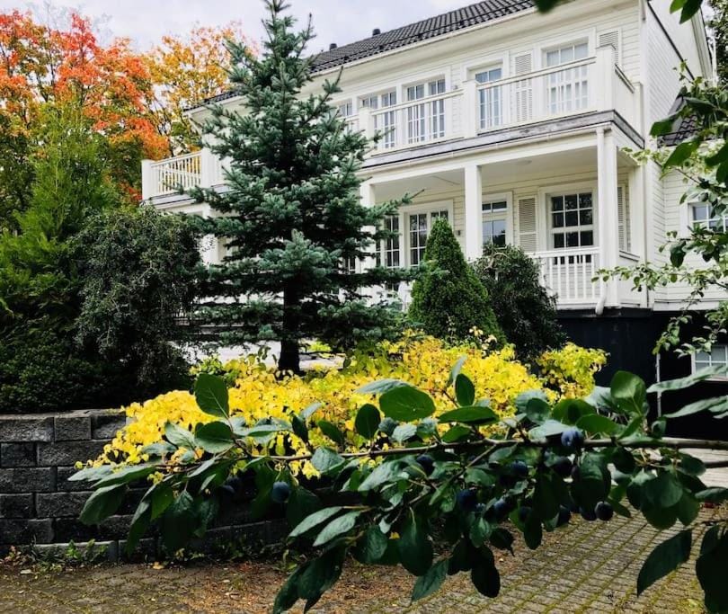 White House Villa in Finland