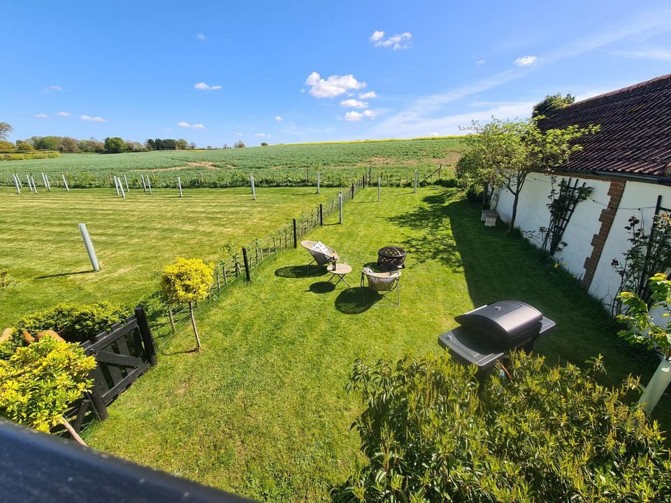 Natural landscape, Garden view