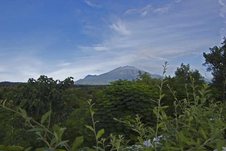 Natural landscape