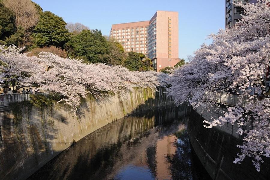 東京の中心地の新宿区で便利/2駅から徒歩6分/6名収容/無制限高速WIFI Apartment in Shinjuku