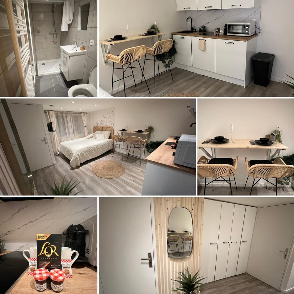 Le zénith vieille ville d'Annecy Apartment in Annecy