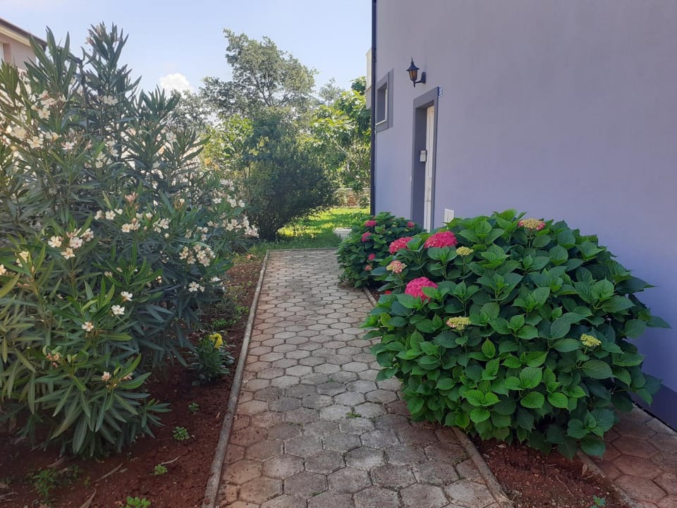 Facade/entrance, Garden