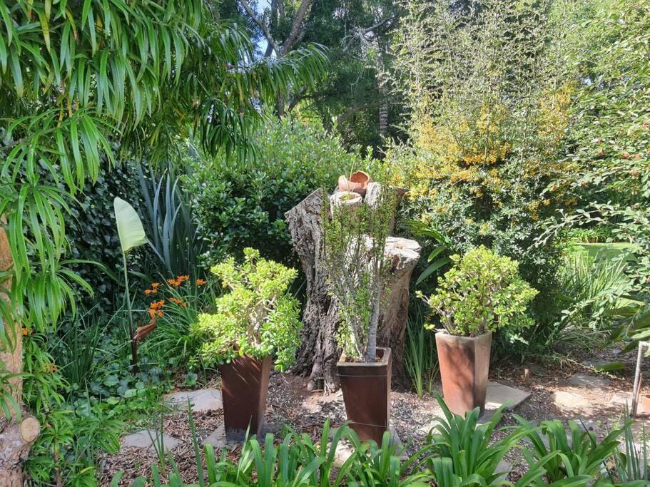 Lily's Corner Apartment in Western Cape