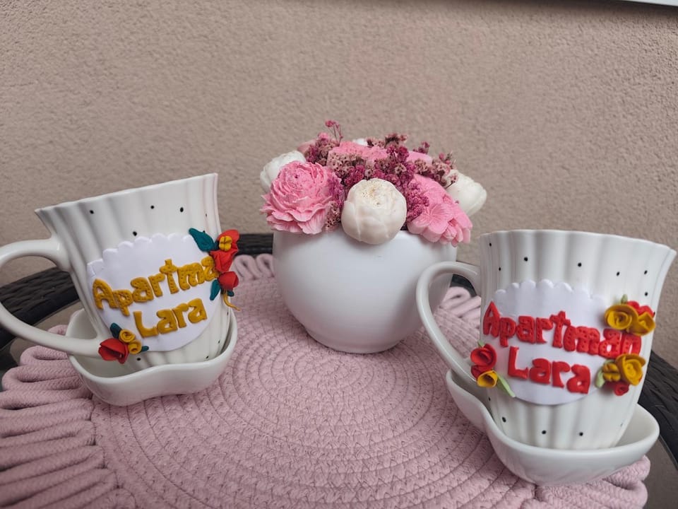 Apartman LARA Apartment in Serbia