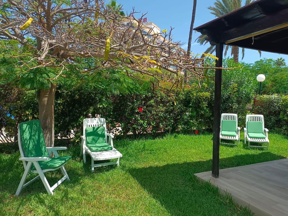 Garden, Garden view, sunbed