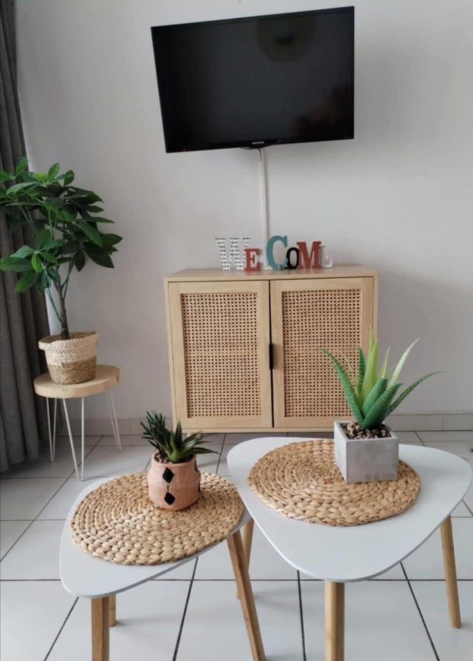 TV and multimedia