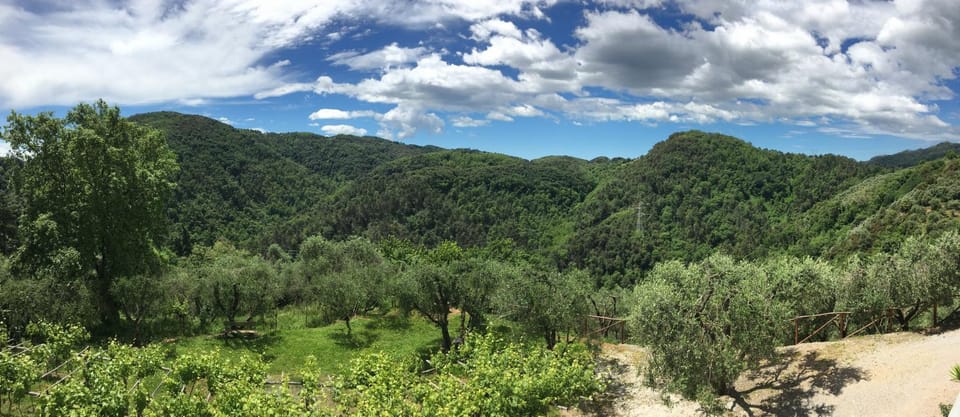 Natural landscape, View (from property/room)