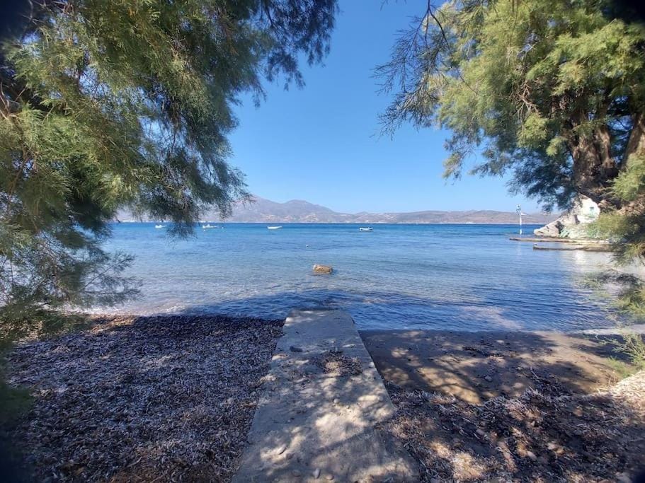 Skinopi Beach Guesthouse House in Milos