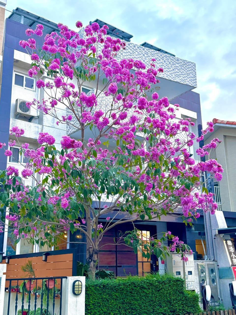 Property building