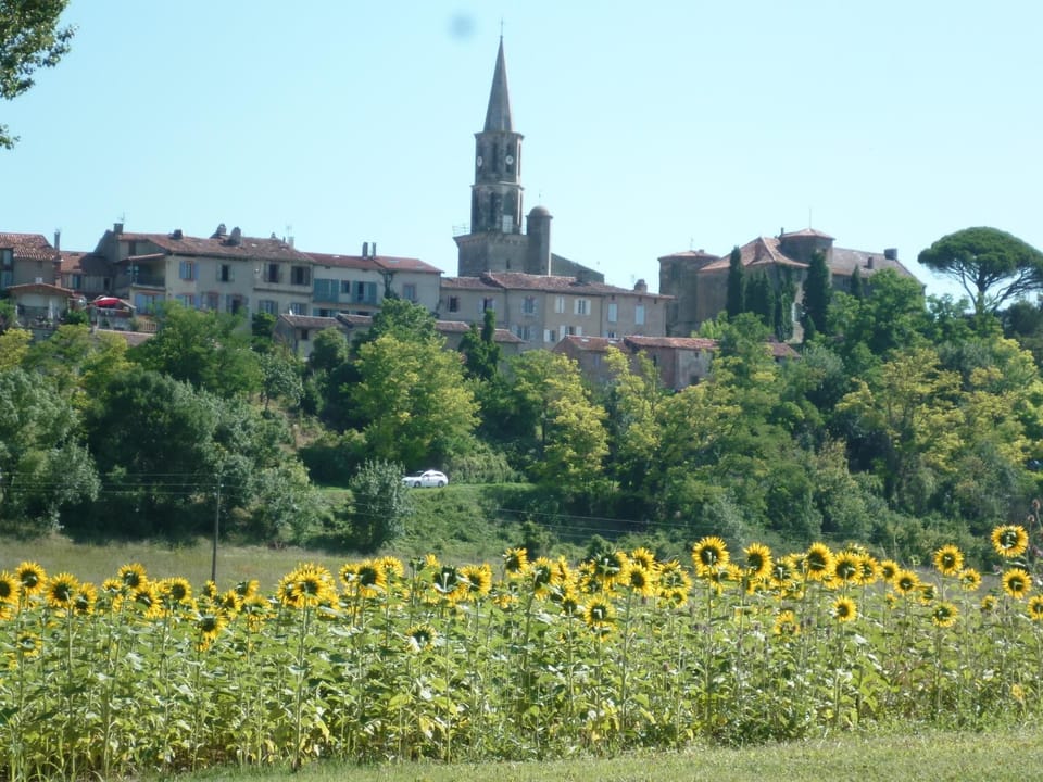 Landmark view
